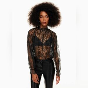 Aritzia Wilfred 'Decorum' Sheer Lace Longsleeved Top